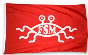 FSM Flag